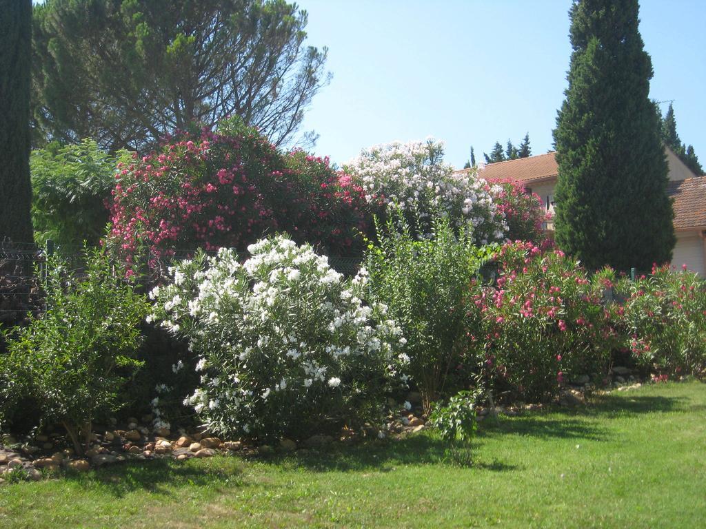 Mas Du Puits Bed & Breakfast Courthézon Exterior photo